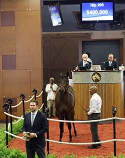 fasig-tipton midlantic ghostzapper filly