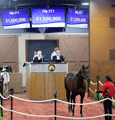 quality road colt fasig-tipton midlantic two-year-olds in training