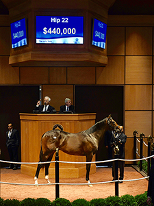 fasig tipton july flatter colt