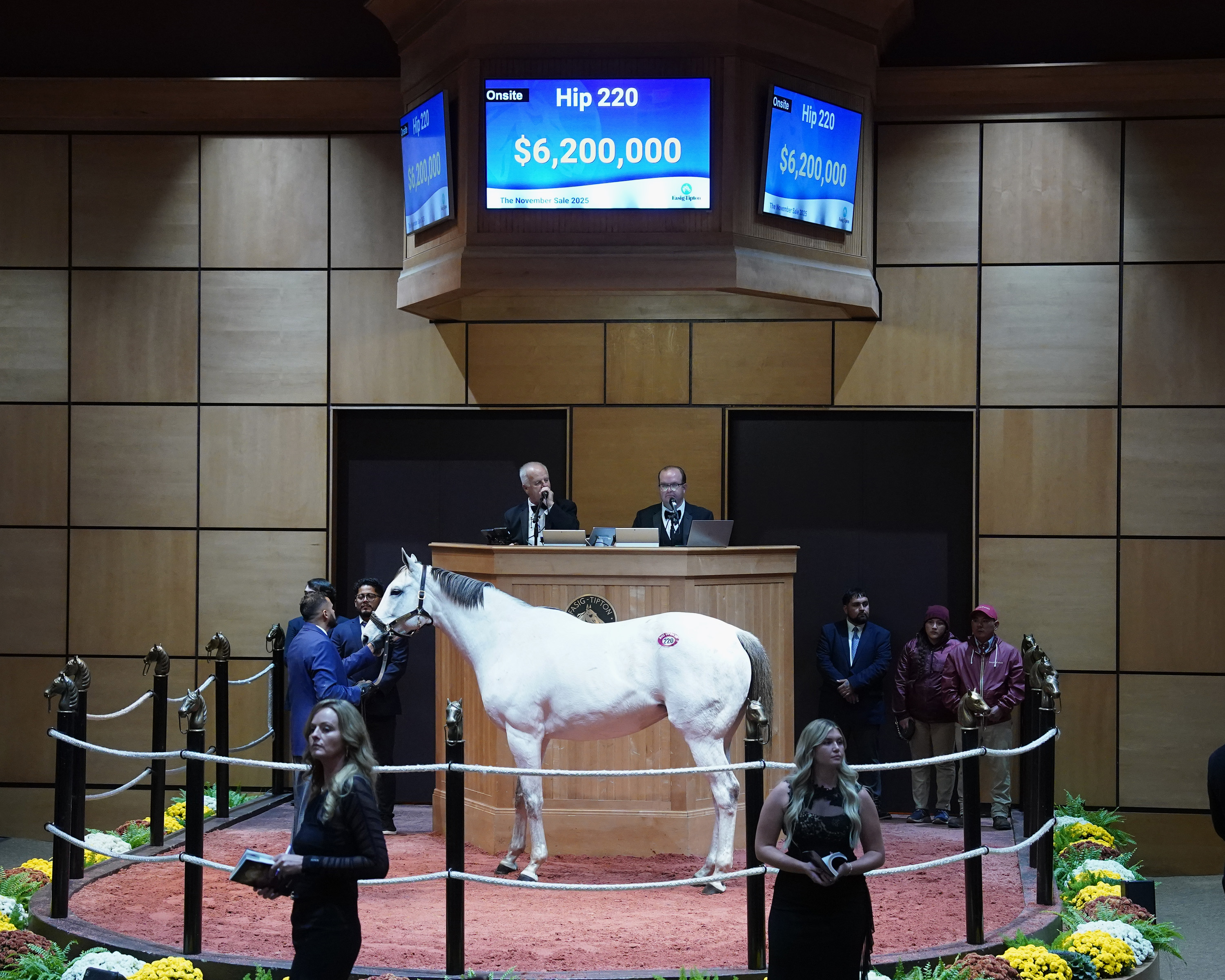 streak of luck fasig-tipton