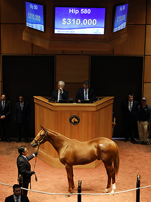 fasig-tipton october sale american pharoah