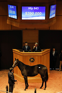 fasig-tipton october city zip filly