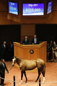 fasig-tipton october sale liam's map