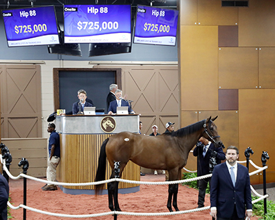 Girvin filly Fasig-Tipton Midlantic