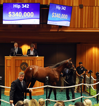 fasig tipton new york bred yearling constitution colt