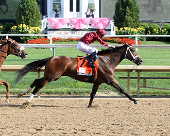 shedaresthedevil kentucky oaks coady photo