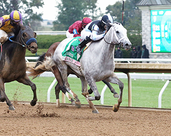 valiance wins the spinster coady photo