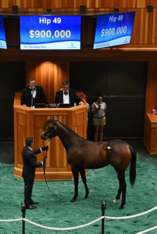 fasig tipton saratoga medaglia d'oro filly