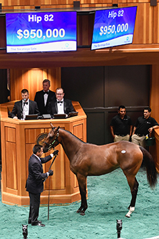 fasig tipton saratoga tapit filly