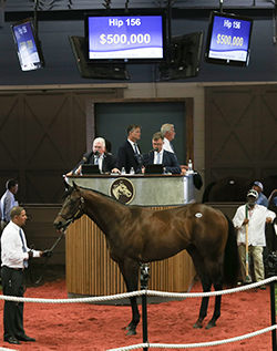 fasig-tipton midlantic street sense colt