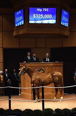 fasig tipton kentucky october yearlings sale hip 703 nyquist filly