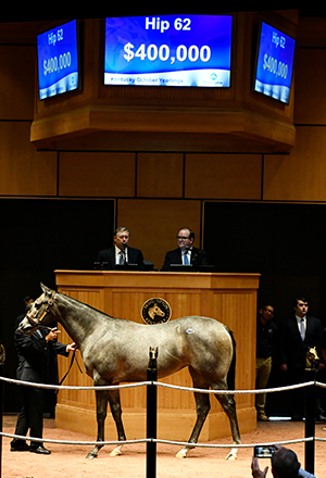 fasig tipton kentucky october yearlings hip 62 medaglia d'oro filly