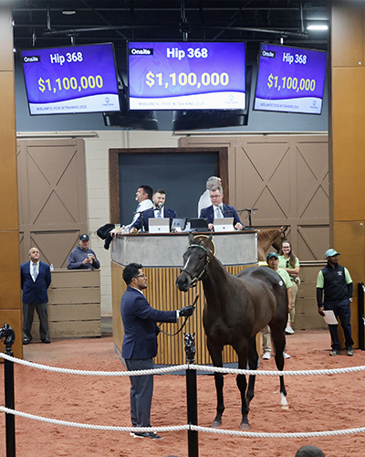 girvin filly