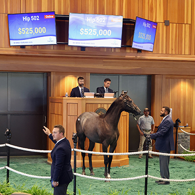fasig-tipton 