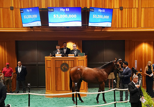 fasig tipton photo
