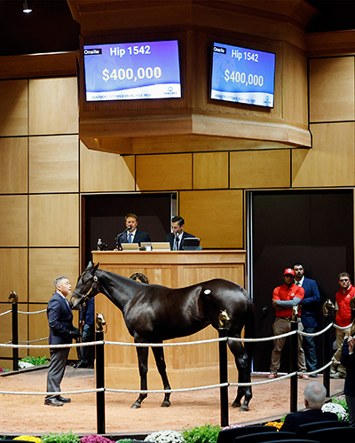 fasig tipton