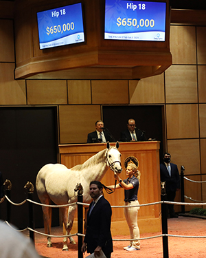 Don't Leave Me Pin Oak Stud