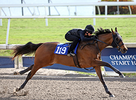 curlin filly gulfstream