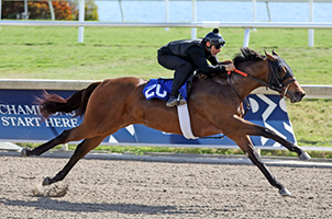 malibu moon filly gulfstream