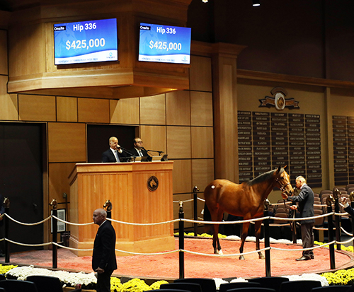 into mischief filly fasig-tipton kentucky october yearlings