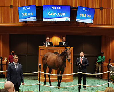 uncle mo filly fasig-tipton new york bred