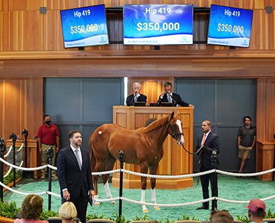 munnings filly new york bred