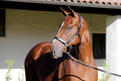 hip 202