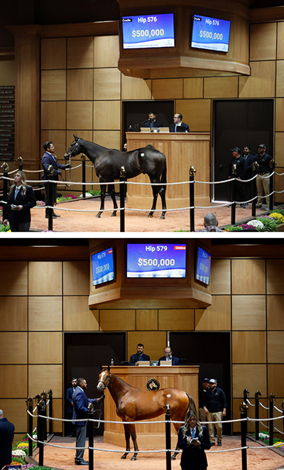 fasig-tipton