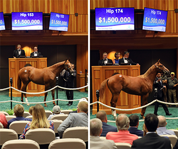 fasig tipton saratoga curlin colts