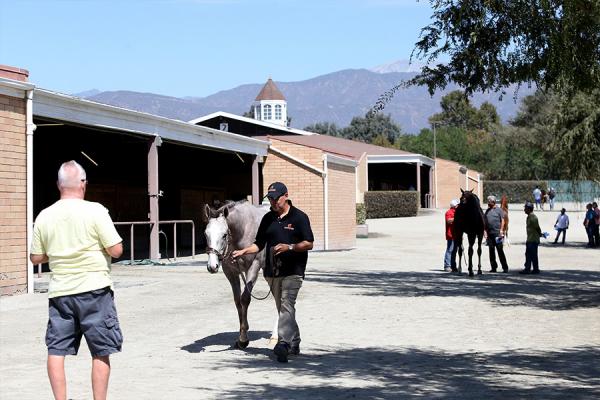 fairplex fasig-tipton photo cecilia gustavsson